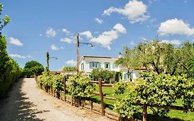 Gli Olivi