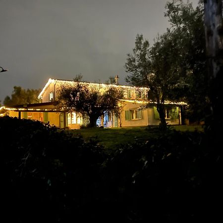 Bed and Breakfast Gli Olivi Formello Exterior foto