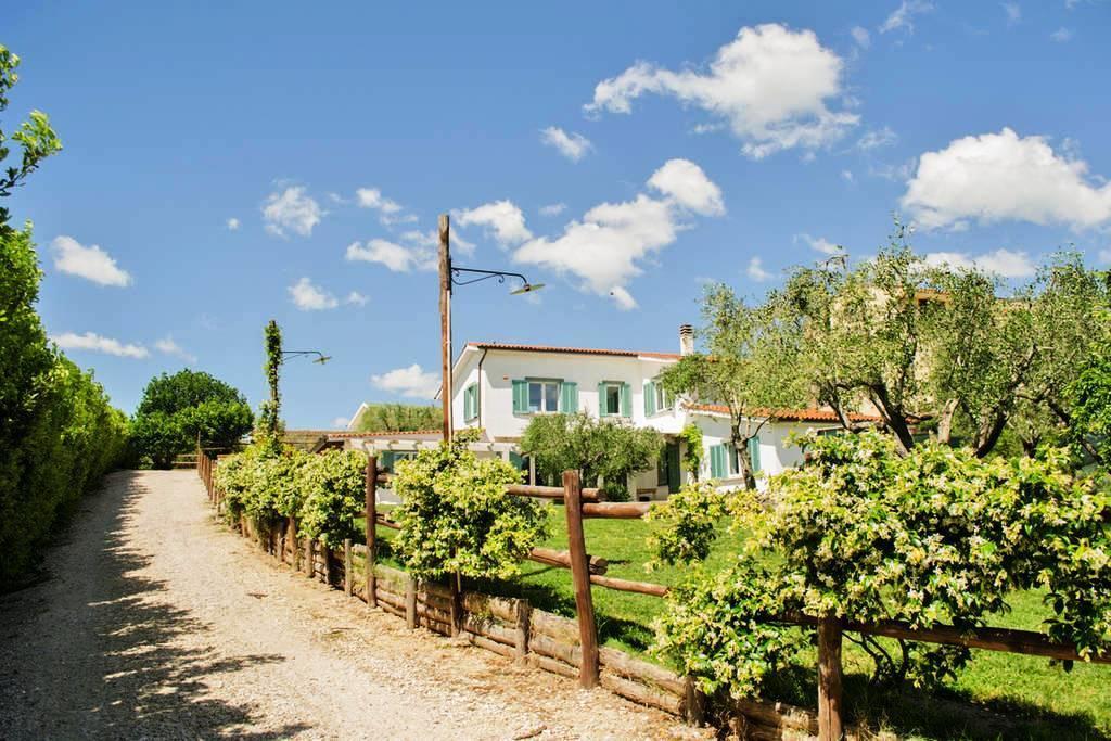 Bed and Breakfast Gli Olivi Formello Exterior foto